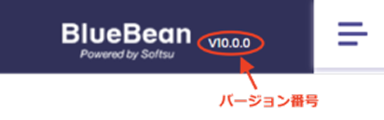bluebean-10ver-img